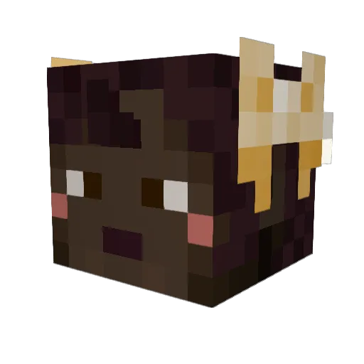 DeezPeanuts669 Minecraft avatar head, 3D render