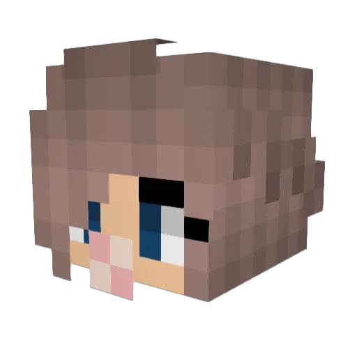 DefNOTBot Minecraft avatar head, 3D render