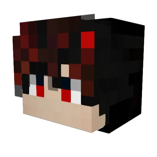 DefNotJaspier Minecraft avatar head, 3D render