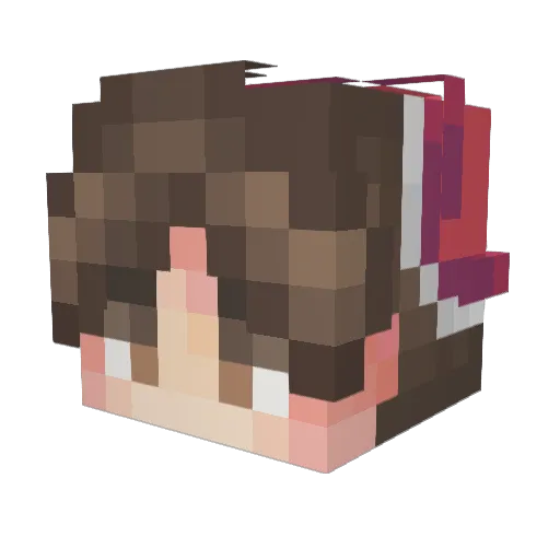 DefNotRoboo Minecraft avatar head, 3D render