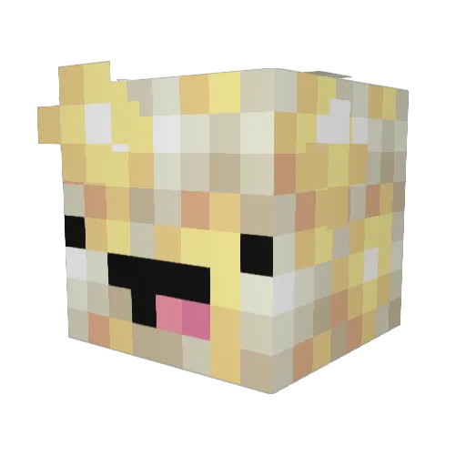 DefWG Minecraft avatar head, 3D render