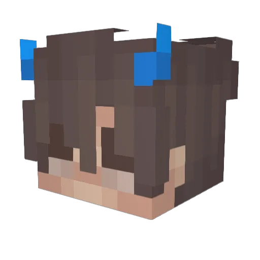 DefaultNation Minecraft avatar head, 3D render