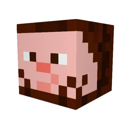 Defco2 Minecraft avatar head, 3D render