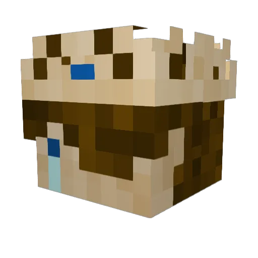 DefeatedCrown Minecraft avatar head, 3D render