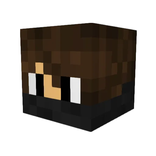 DefeatedShadow Minecraft avatar head, 3D render
