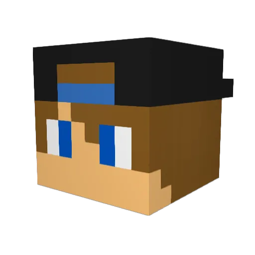 DefectiveTomato Minecraft avatar head, 3D render