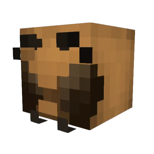 DefectiveYT Minecraft avatar head, 3D render
