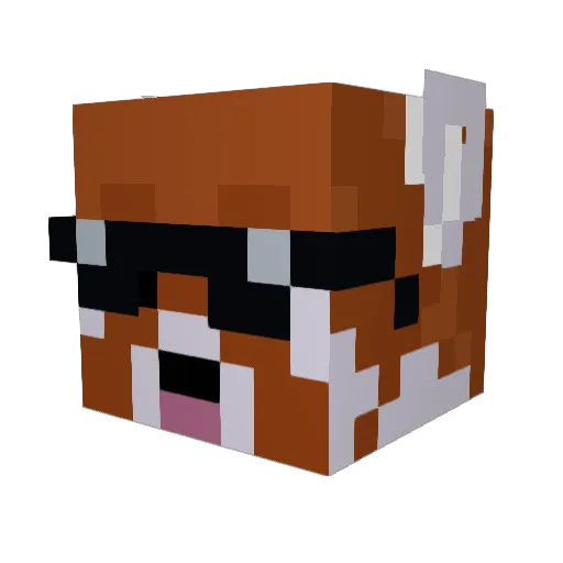 DefectiveYeet Minecraft avatar head, 3D render