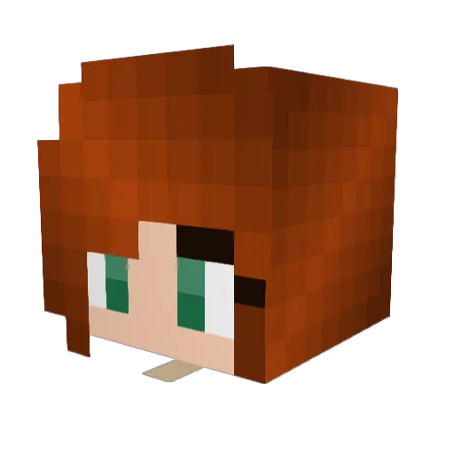 Defender500 Minecraft avatar head, 3D render