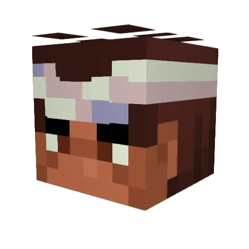 DefenderOfPanda Minecraft avatar head, 3D render