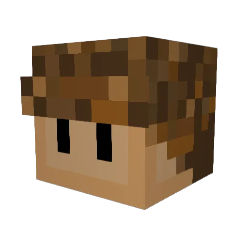 Deffes Minecraft avatar head, 3D render