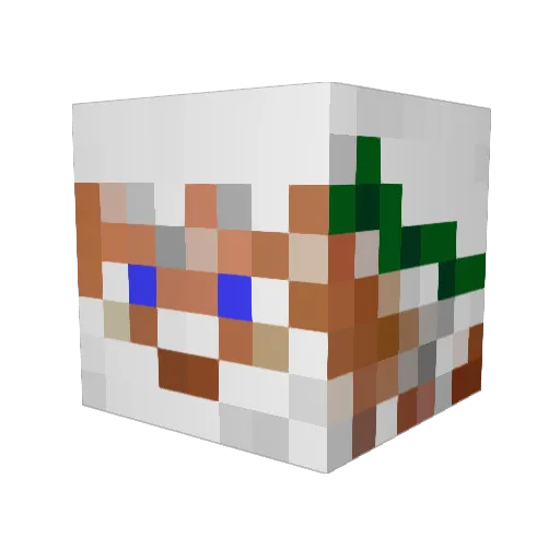 DefiantTostada Minecraft avatar head, 3D render