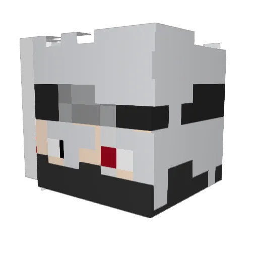 DefineBLM Minecraft avatar head, 3D render