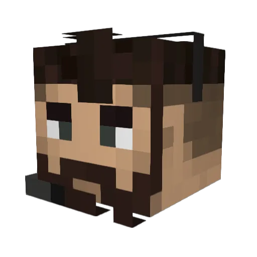 DefinetllyNotAlt Minecraft avatar head, 3D render