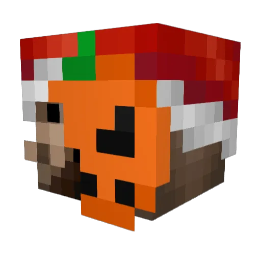 DefinetlyNotAmy Minecraft avatar head, 3D render