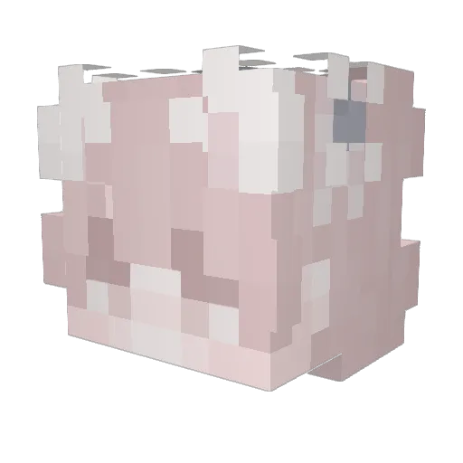 DefinitelyKai Minecraft avatar head, 3D render