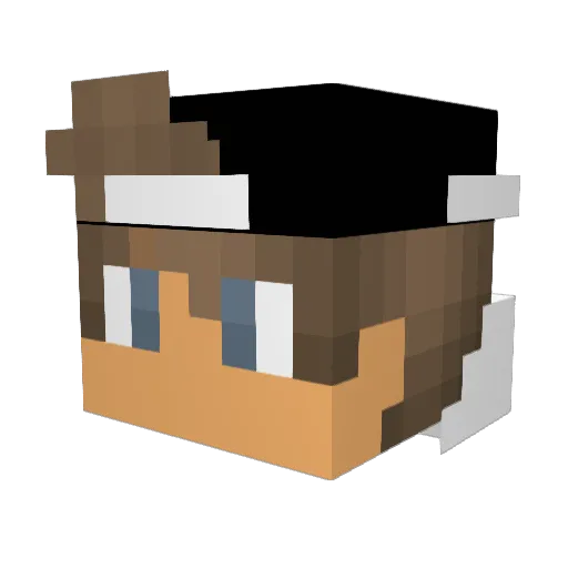 DefinitelyKnight Minecraft avatar head, 3D render