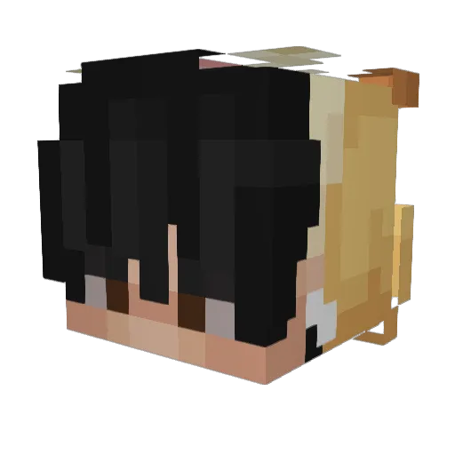 DefinitelyNash Minecraft avatar head, 3D render