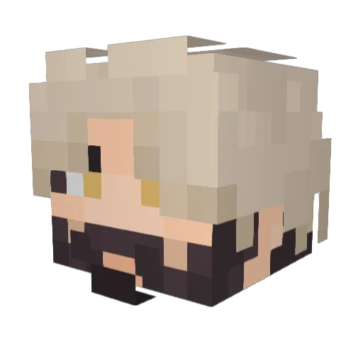 Definitely_KaZ Minecraft avatar head, 3D render