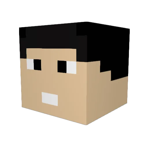 DefinitlyStaff Minecraft avatar head, 3D render