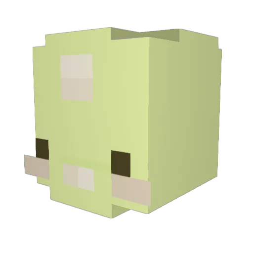 DefraNL Minecraft avatar head, 3D render