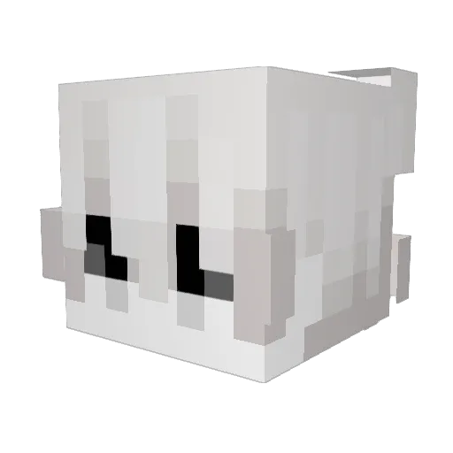 Deft9NINE Minecraft avatar head, 3D render