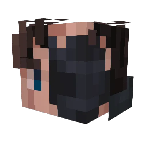 DefterBus2105 Minecraft avatar head, 3D render