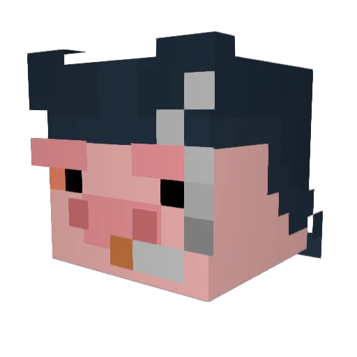 Defumigado Minecraft avatar head, 3D render