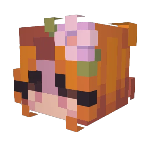 DefyGravity310 Minecraft avatar head, 3D render
