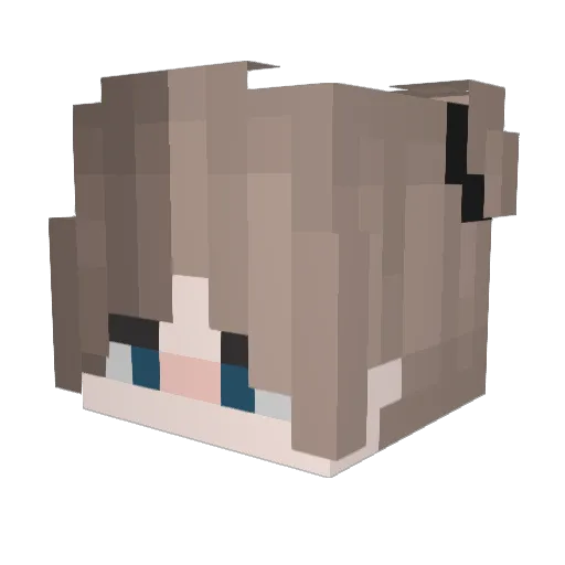 DegHasSX Minecraft avatar head, 3D render