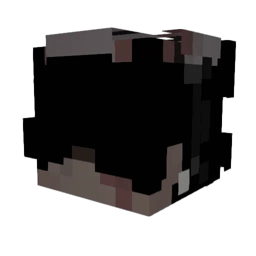 Degau Minecraft avatar head, 3D render