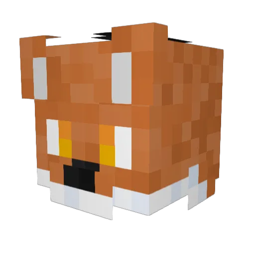 Dege8605 Minecraft avatar head, 3D render