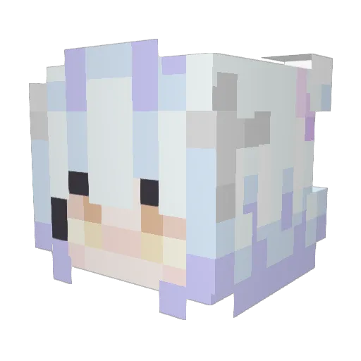 DegenerateBeing Minecraft avatar head, 3D render