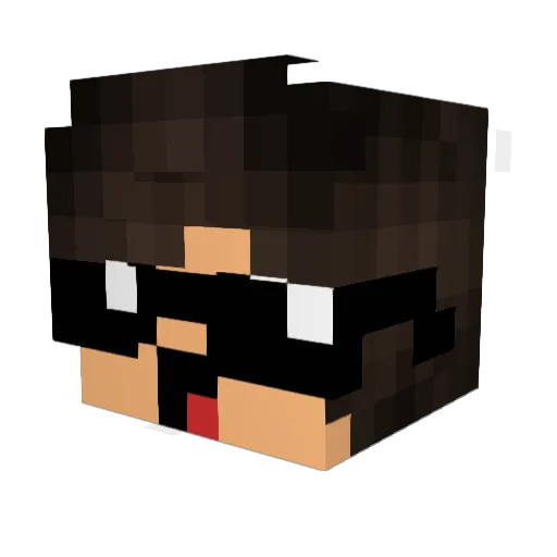 Degooos19 Minecraft avatar head, 3D render