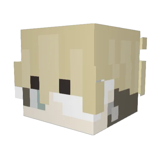 Deguanxs Minecraft avatar head, 3D render