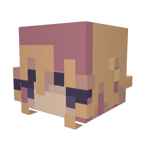 Deguchstadter Minecraft avatar head, 3D render