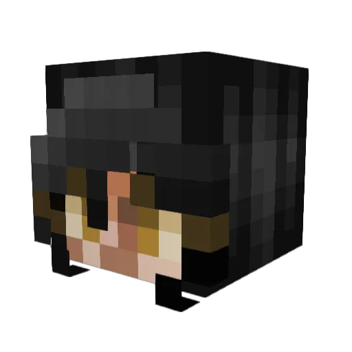 Dehrii Minecraft avatar head, 3D render