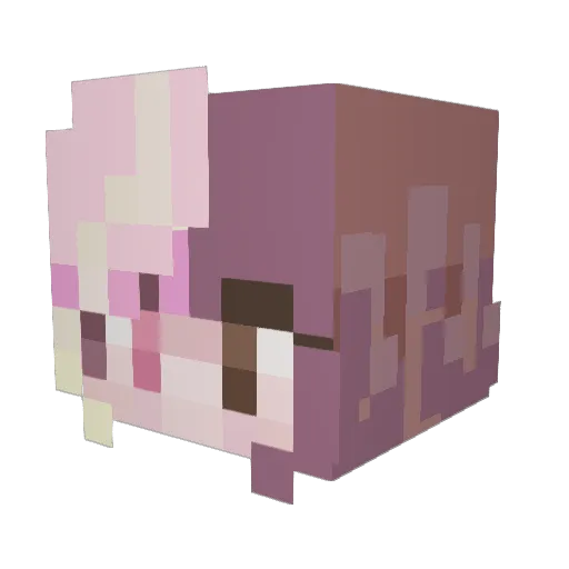 Dehrisin Minecraft avatar head, 3D render