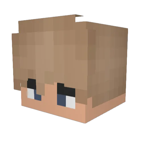 Dehydrierung Minecraft avatar head, 3D render
