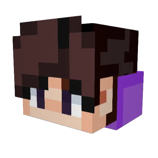 DeiVid_T Minecraft avatar head, 3D render