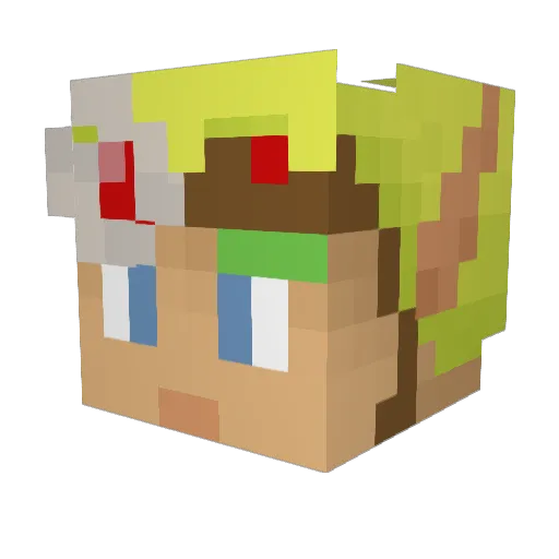 Deiborl Minecraft avatar head, 3D render