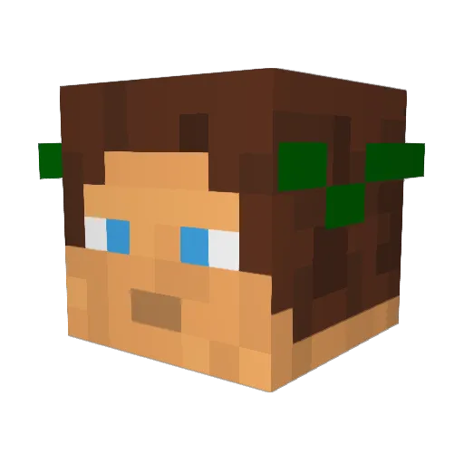 Deibros Minecraft avatar head, 3D render