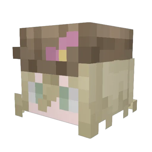 Deidax Minecraft avatar head, 3D render
