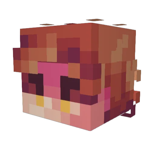 DeimusDW Minecraft avatar head, 3D render
