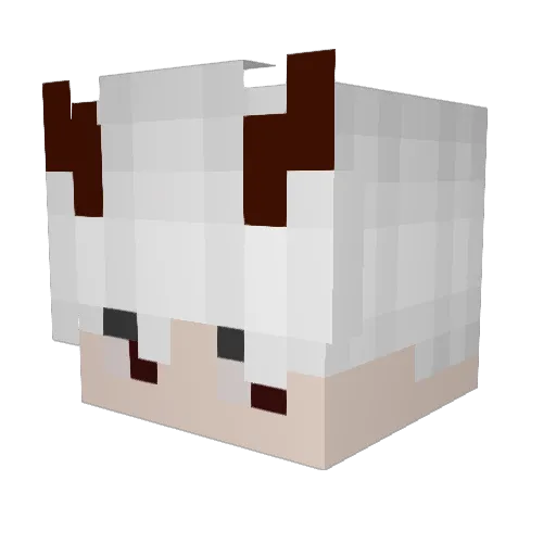 Dein_Schicksal Minecraft avatar head, 3D render