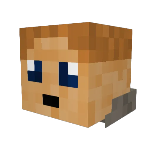 Dein_Sersch Minecraft avatar head, 3D render