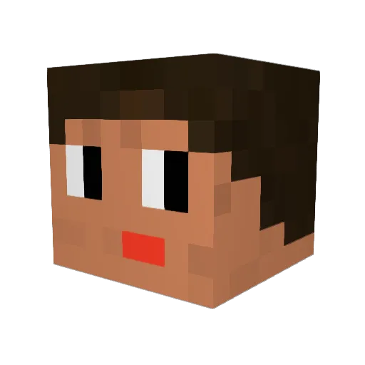 DeineOrange Minecraft avatar head, 3D render