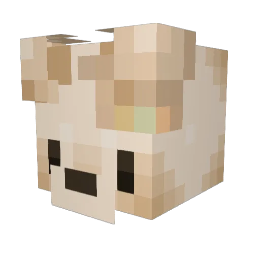 Deinkrif Minecraft avatar head, 3D render