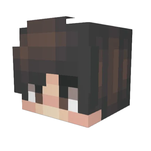 Deino150 Minecraft avatar head, 3D render