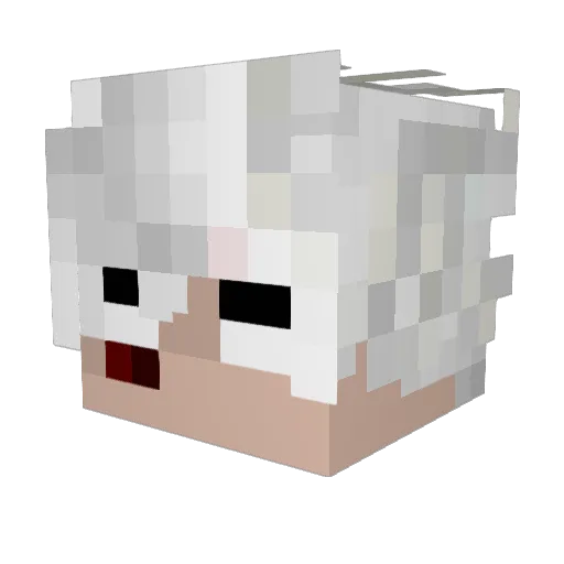 Deivi_17 Minecraft avatar head, 3D render